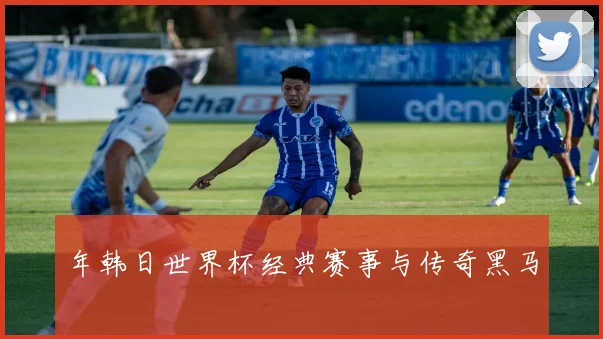 年韩日世界杯经典赛事与传奇黑马
